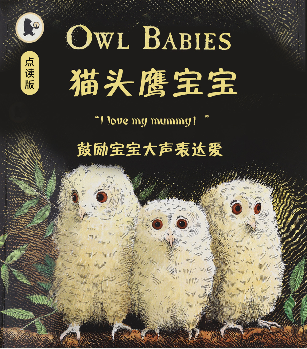 点读版廖彩杏书单owlbabies猫头鹰宝宝聚焦儿童分离焦虑